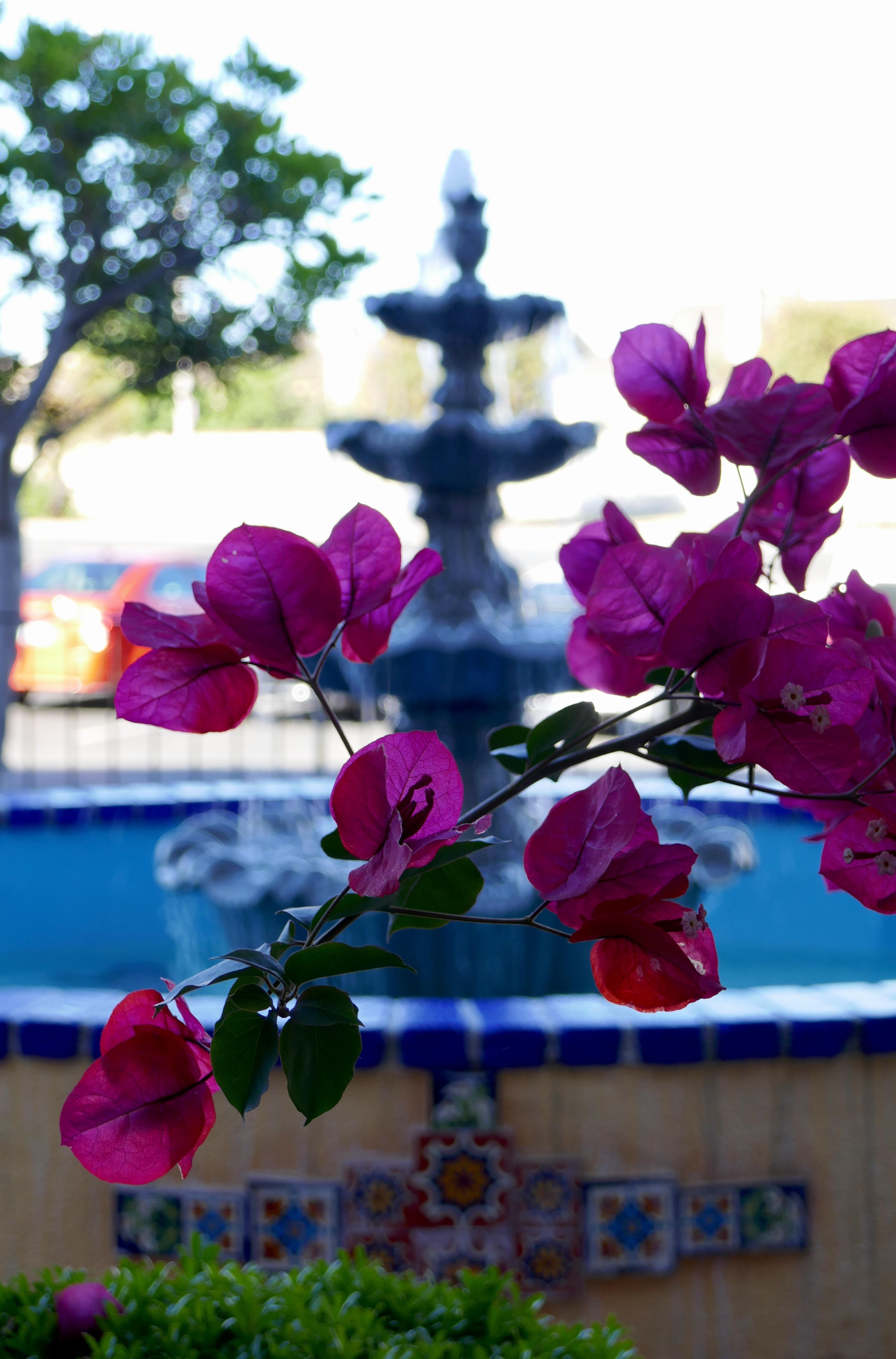 Best Western Golden Sails Hotel Long Beach Esterno foto