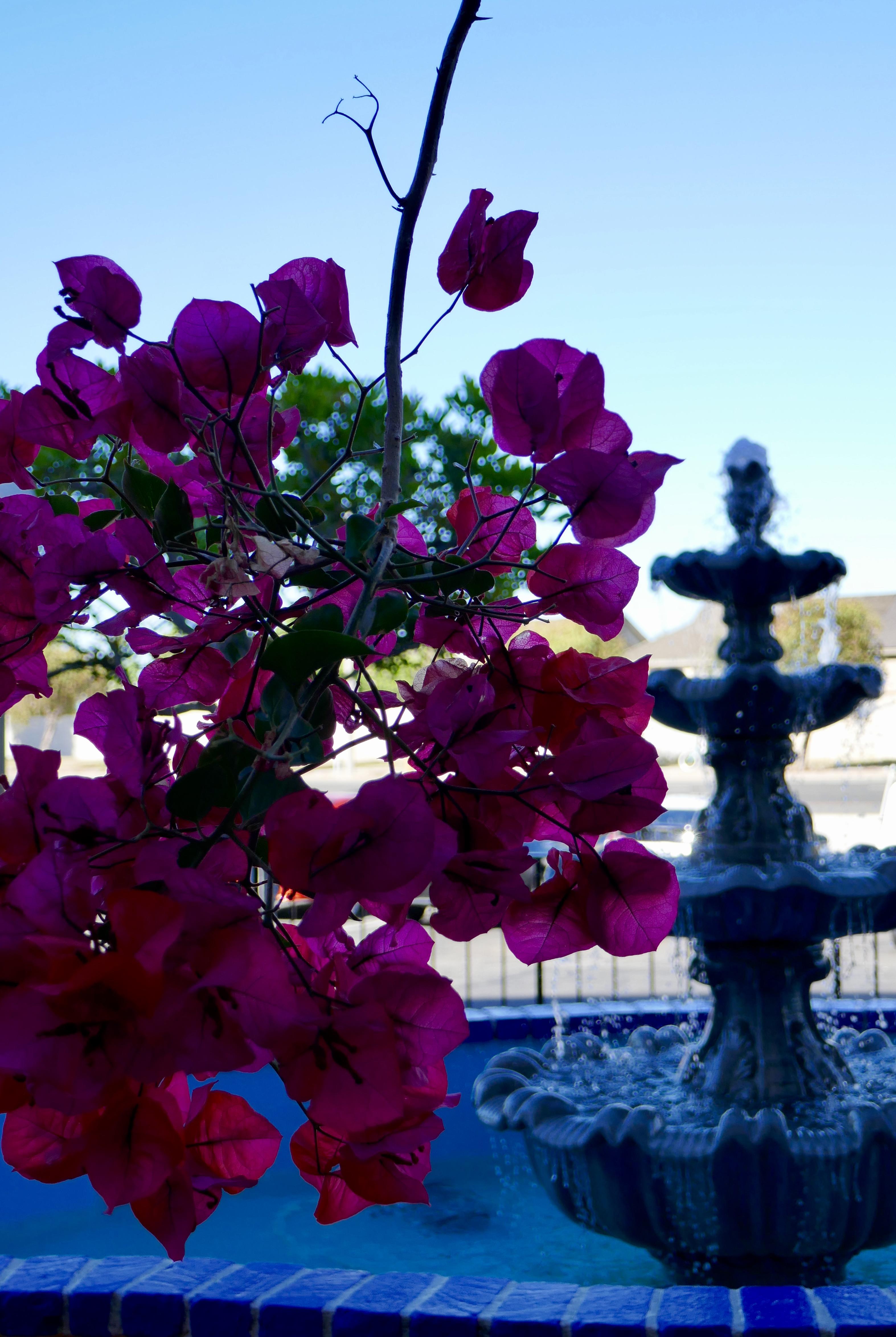 Best Western Golden Sails Hotel Long Beach Esterno foto