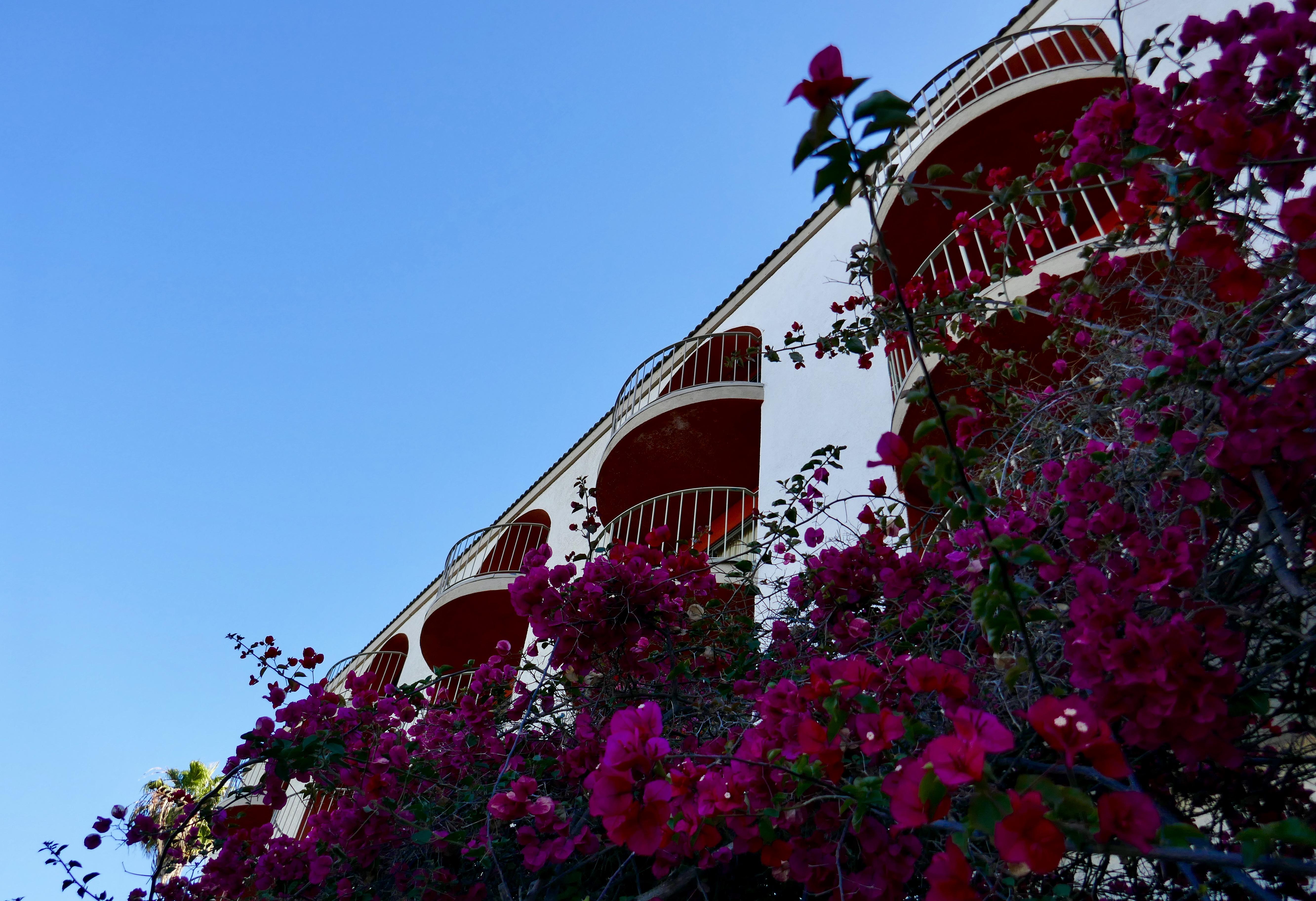 Best Western Golden Sails Hotel Long Beach Esterno foto