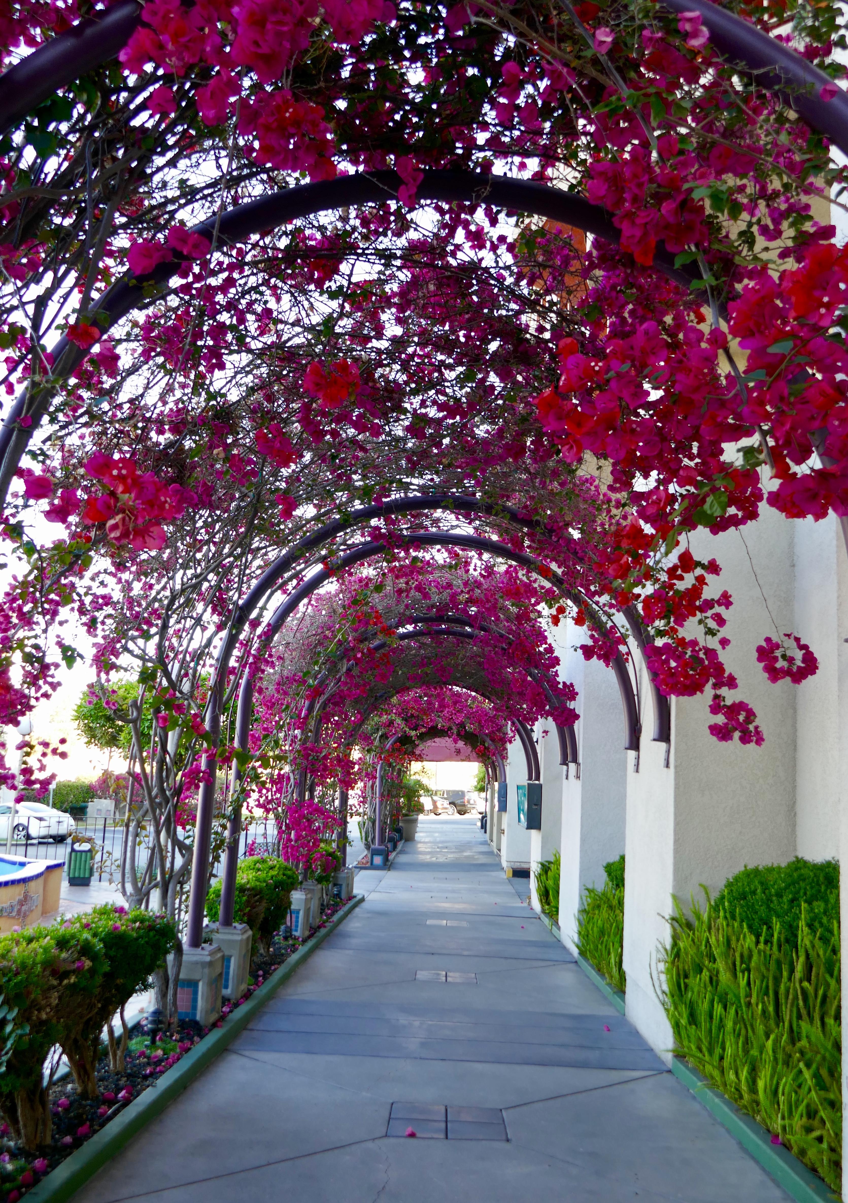 Best Western Golden Sails Hotel Long Beach Esterno foto